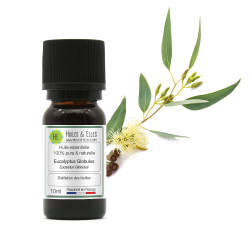Eucalyptus Globulus Essential Oil 100% Pure & Natural
