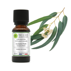 Radiated Eucalyptus Essential Oil 100% Pure & Natural