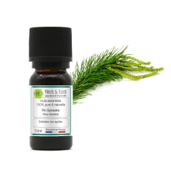 Scots Pine Essential Oil 100% Pure & Natural