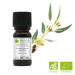 Eucalyptus Globulus Organic* Essential Oil 100% Pure & Natural