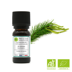 Scots Pine Organic* Essential Oil 100% Pure & Natural