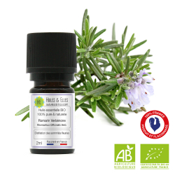 Rosemary Verbenone Organic* Essential Oil 100% Pure & Natural